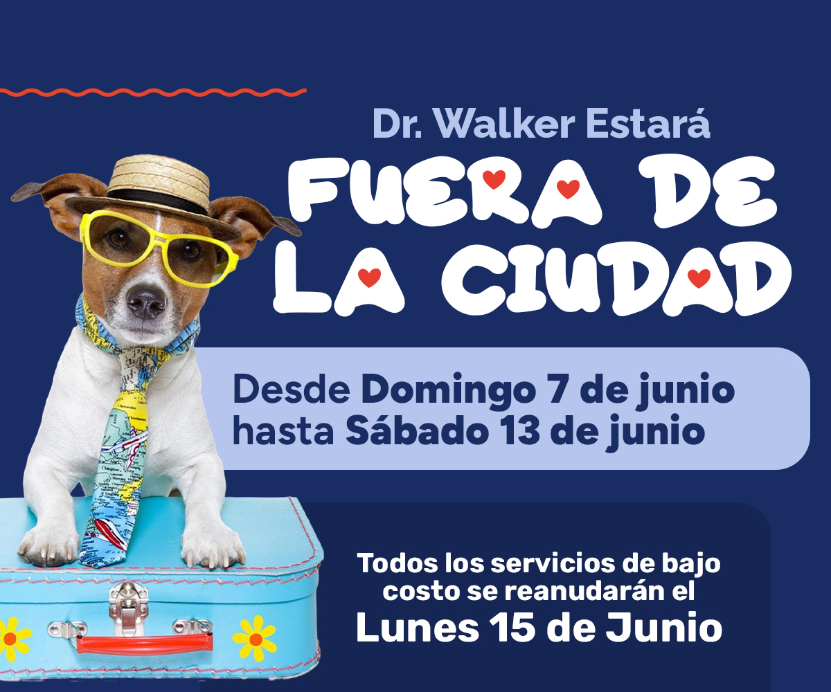 Dr Walker will be out of town from  Sunday,June 7th thru Saturday, June 13th. All low cost set ups will resume on Monday, June 15th