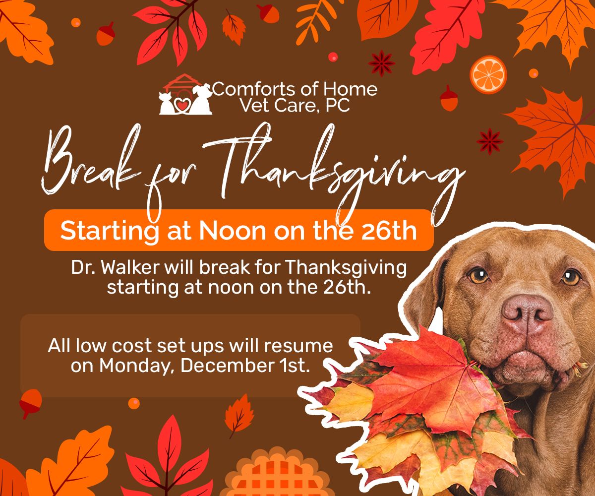 Dr Walker will be out of town from Friday, November 7th through Sunday, November 16th. All low cost set ups will resume on Monday, November 17th