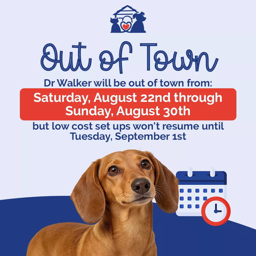 Dr Walker will be out of town from Saturday, August 22nd thru Sunday, August 30th.